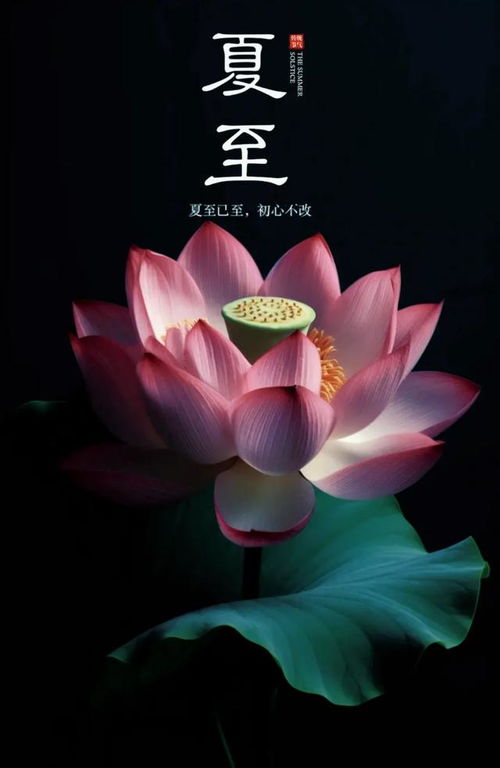 HJC青岛韩周链：祝夏至快乐！